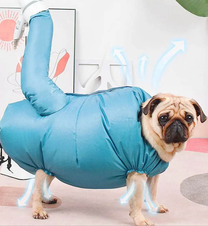 15-Minute Grooming Miracle: Effortless Drying for Happy Pets