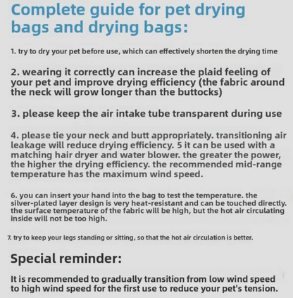 15-Minute Grooming Miracle: Effortless Drying for Happy Pets