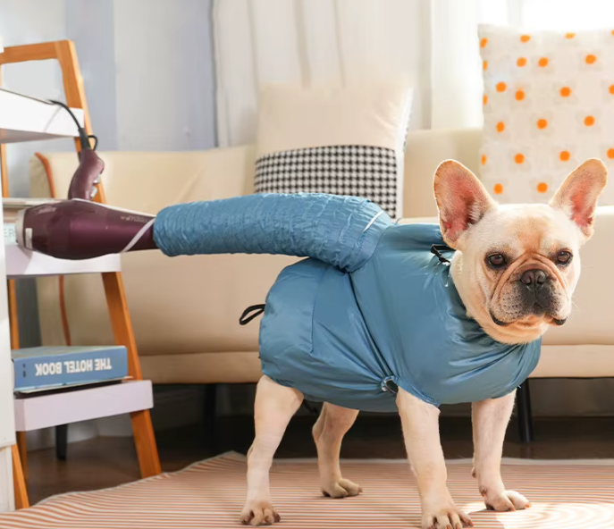 15-Minute Grooming Miracle: Effortless Drying for Happy Pets