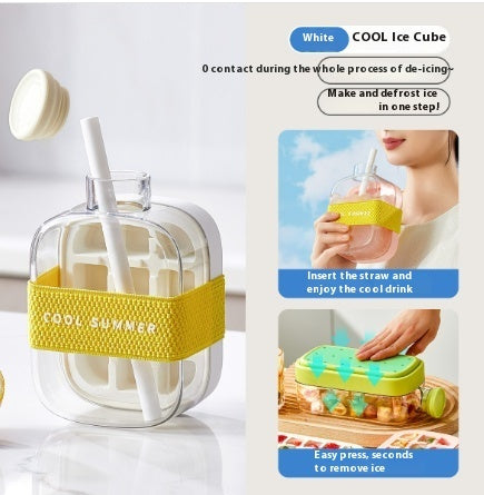 2 in 1 ice drink bottle, summer cold ice bottle