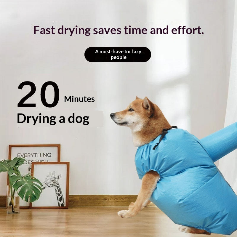 SmartNest™ pet grooming solution solving common pain points like long drying times and pet anxiety.