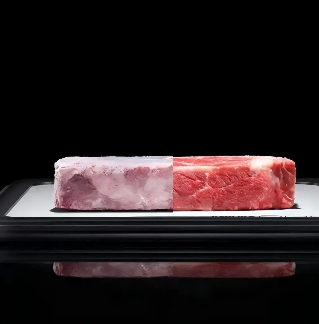 Freshly defrosted salmon and steak inside the quick-thaw tray, showing perfect color and texture preservation.