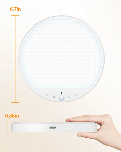 Rechargeable Wireless Motion Sensor Ceiling Light with Remote 