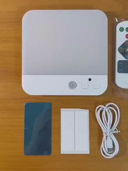 Rechargeable Wireless Motion Sensor Ceiling Light with Remote 